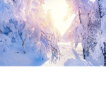 An Snowy Winter