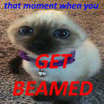 Frft