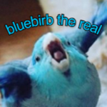 Bluebirb Productions