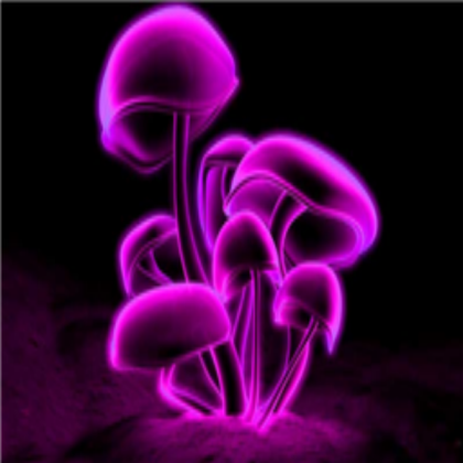 Neon Purple Mushrooms Roblox decal