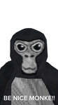 GORILLA TAG RULES!!