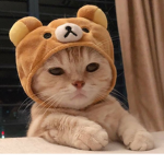 Swag Imao