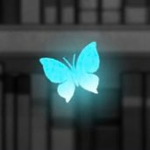 Butterfly Domain