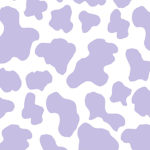 Alaska Closet