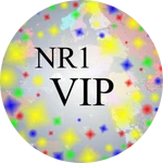 Nations Roleplay VIP