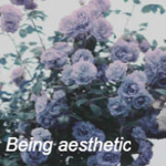 ｂｅｉｎｇ ａｅｓｔｈｅｔｉｃ.