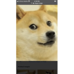 Doges Special group XD