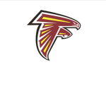 Lake Erie Bay Hawks #####
