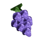 Chopped Chin Grapes
