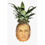 El Pineapple