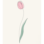 Tulip’s Boutiquez
