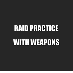 Raid Practice