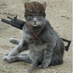 ANIMAL ARMY/NO SLENDERS ALLOWED!