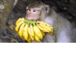 Banana Eating Simulator