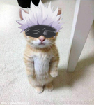 Black~Star Inc