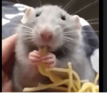 LINGUINE ARMY