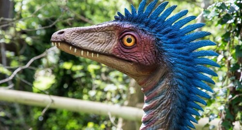 Dinosaurs