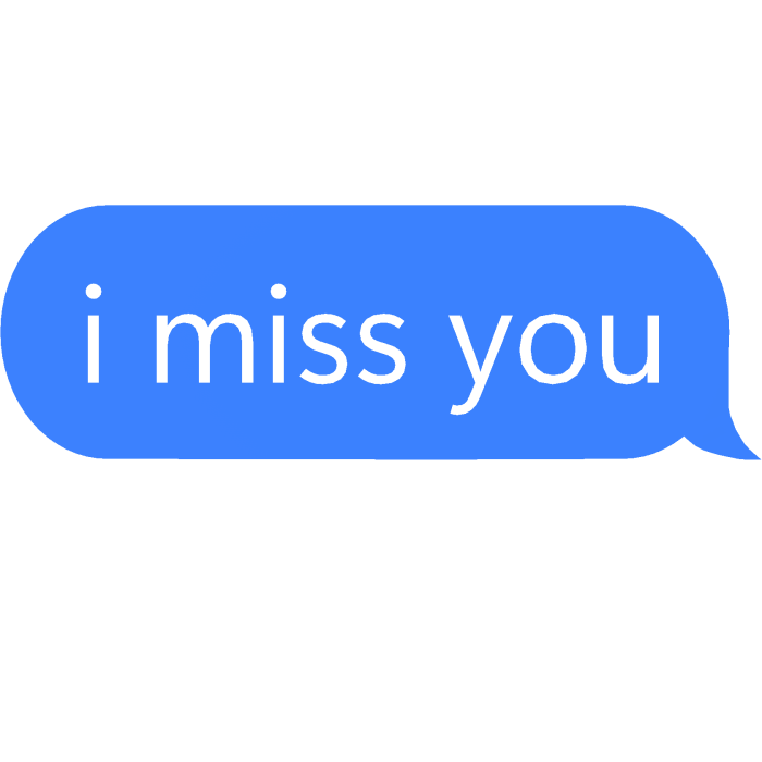 i miss you seen text