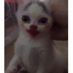l o o o o o o o o o o o o o o o o o o o o o o o ol