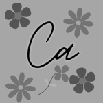 Cashier's Shop!