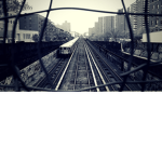 LOVIN CHIEF