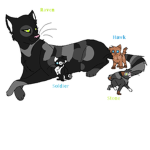 Warrior Cats ; Ravenclan
