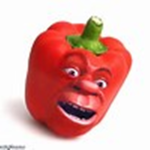 talking tomato