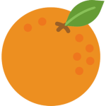 Fruit Juicers