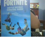 ice fortnnite