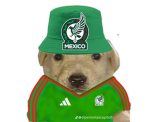 Perrito Mexicano