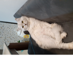 나만의 클럽