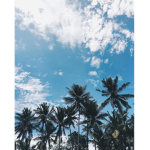 CoconutxClothing
