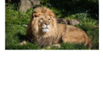 #Animals Are The Best!