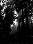 twlight.