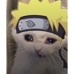 sad naruto cat