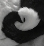 Miwo'sz Group Thumbnail