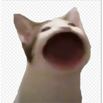 Willy 1