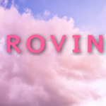 RO-VIN