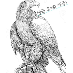 사격 연습