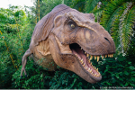 Dino Squad Rrrrraaaarrrrrrr