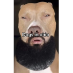 HOt DAWGGgGg