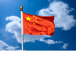 Survive China's Leader