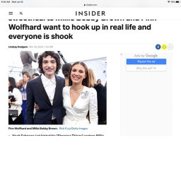 Fin