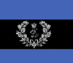 5th Cat Airwing