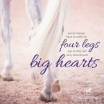 GREAT KIND Horse Thoughts!