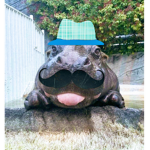 Hippo Army Forever