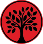 Scarlet Oak