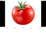 Tomato Egg Sandwich