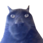 Clothing.Cat
