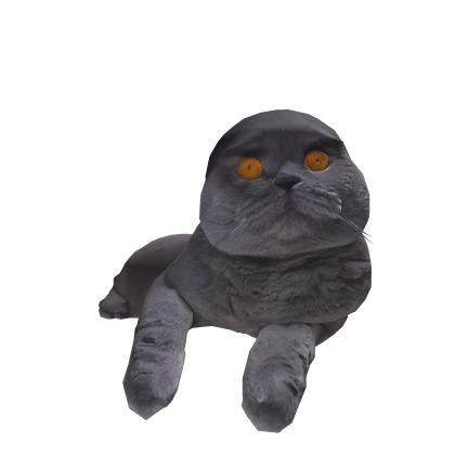 Folk Cat